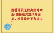 西番莲灵芝纹身图片大全(西番莲灵芝纹身图集，精美设计不容错过)