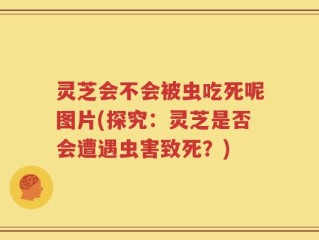 灵芝会不会被虫吃死呢图片(探究：灵芝是否会遭遇虫害致死？)