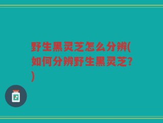 野生黑灵芝怎么分辨(如何分辨野生黑灵芝？)