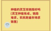 种植的灵芝找销路好吗(灵芝种植有成，销路难求，农民跑遍市场求销售)