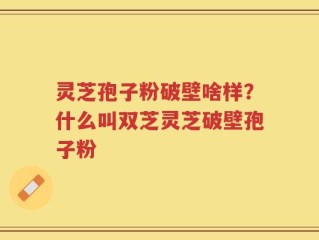 灵芝孢子粉破壁啥样？什么叫双芝灵芝破壁孢子粉