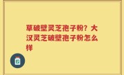 草破壁灵芝孢子粉?大汉灵芝破壁孢子粉怎么样