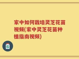 家中如何栽培灵芝花苗视频(家中灵芝花苗种植指南视频)