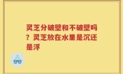 灵芝分破壁和不破壁吗？灵芝放在水里是沉还是浮