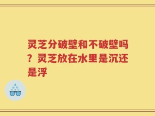 灵芝分破壁和不破壁吗？灵芝放在水里是沉还是浮
