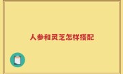 人参和灵芝怎样搭配