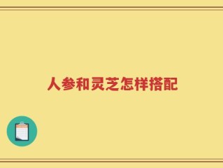 人参和灵芝怎样搭配