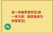 宋一夫推荐雪灵芝(宋一夫力荐：提高免疫力的雪灵芝)