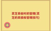 灵芝采收时的管理(灵芝的采摘和管理技巧)