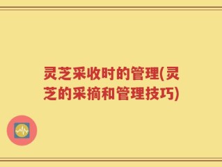 灵芝采收时的管理(灵芝的采摘和管理技巧)
