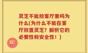 灵芝不能放客厅里吗为什么(为什么不能在客厅放置灵芝？解析它的必要性和安全性！)