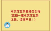 木灵芝盆景直播怎么样(直播一睹木灵芝盆景之美，惊叹不已！)