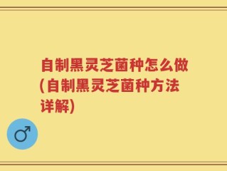 自制黑灵芝菌种怎么做(自制黑灵芝菌种方法详解)