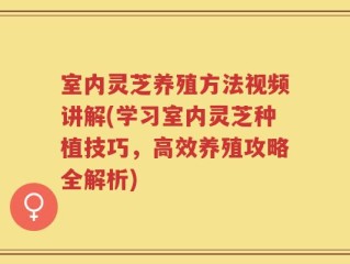 室内灵芝养殖方法视频讲解(学习室内灵芝种植技巧，高效养殖攻略全解析)