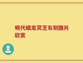 明代螭龙灵芝石刻图片欣赏