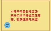 小孩子用菌包种灵芝(孩子们亲手种植灵芝蘑菇，收获健康与乐趣)