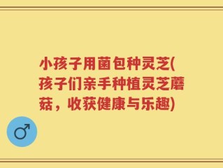 小孩子用菌包种灵芝(孩子们亲手种植灵芝蘑菇，收获健康与乐趣)