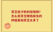 灵芝孢子粉的短视频？怎么用灵芝赚钱朋友的种植基地灵芝太多了