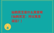 仙鹤灵芝是什么寓意呢(仙鹤灵芝：何以寓意深远？)