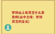 梦到山上有灵芝什么意思啊(山中之缘：梦到灵芝的含义)