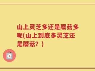 山上灵芝多还是蘑菇多呢(山上到底多灵芝还是蘑菇？)
