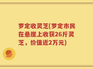罗定收灵芝(罗定市民在悬崖上收获26斤灵芝，价值近2万元)