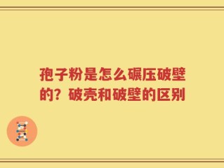 孢子粉是怎么碾压破壁的？破壳和破壁的区别