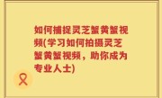 如何捕捉灵芝蟹黄蟹视频(学习如何拍摄灵芝蟹黄蟹视频，助你成为专业人士)