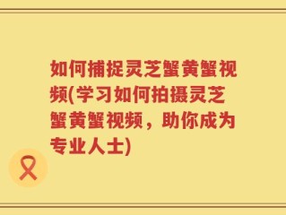 如何捕捉灵芝蟹黄蟹视频(学习如何拍摄灵芝蟹黄蟹视频，助你成为专业人士)