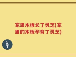 家里木板长了灵芝(家里的木板孕育了灵芝)
