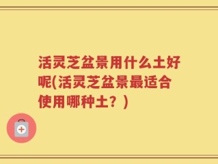 活灵芝盆景用什么土好呢(活灵芝盆景最适合使用哪种土？)