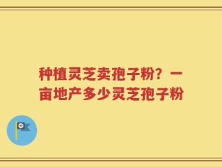 种植灵芝卖孢子粉？一亩地产多少灵芝孢子粉