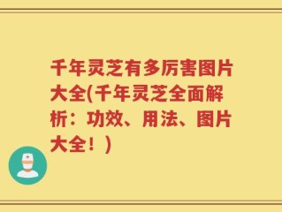 千年灵芝有多厉害图片大全(千年灵芝全面解析：功效、用法、图片大全！)