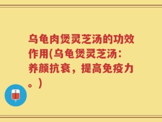 乌龟肉煲灵芝汤的功效作用(乌龟煲灵芝汤：养颜抗衰，提高免疫力。)