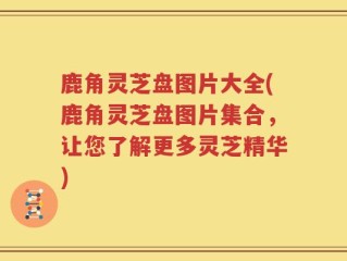 鹿角灵芝盘图片大全(鹿角灵芝盘图片集合，让您了解更多灵芝精华)