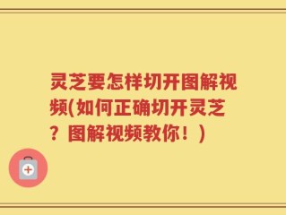 灵芝要怎样切开图解视频(如何正确切开灵芝？图解视频教你！)