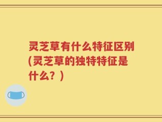 灵芝草有什么特征区别(灵芝草的独特特征是什么？)