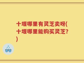 十堰哪里有灵芝卖呀(十堰哪里能购买灵芝？)