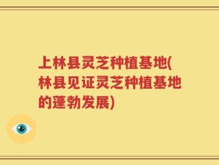 上林县灵芝种植基地(林县见证灵芝种植基地的蓬勃发展)