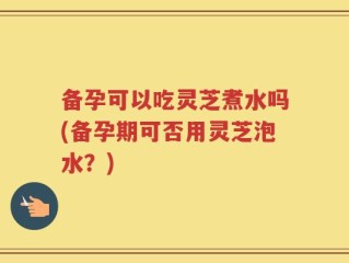 备孕可以吃灵芝煮水吗(备孕期可否用灵芝泡水？)