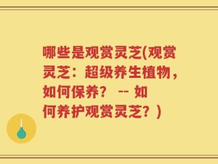 哪些是观赏灵芝(观赏灵芝：超级养生植物，如何保养？ -- 如何养护观赏灵芝？)