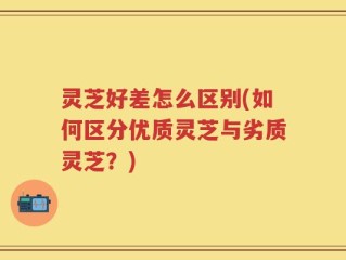 灵芝好差怎么区别(如何区分优质灵芝与劣质灵芝？)