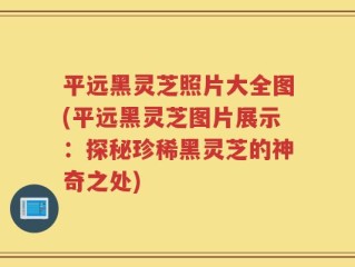 平远黑灵芝照片大全图(平远黑灵芝图片展示：探秘珍稀黑灵芝的神奇之处)