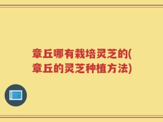 章丘哪有栽培灵芝的(章丘的灵芝种植方法)