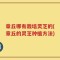 章丘哪有栽培灵芝的(章丘的灵芝种植方法)