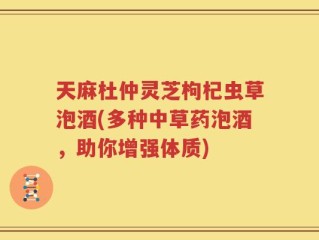 天麻杜仲灵芝枸杞虫草泡酒(多种中草药泡酒，助你增强体质)