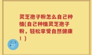 灵芝孢子粉怎么自己种植(自己种植灵芝孢子粉，轻松享受自然健康！)