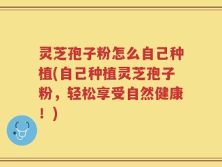 灵芝孢子粉怎么自己种植(自己种植灵芝孢子粉，轻松享受自然健康！)