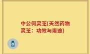 中公何灵芝(天然药物灵芝：功效与用途)