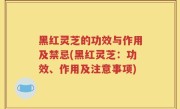 黑红灵芝的功效与作用及禁忌(黑红灵芝：功效、作用及注意事项)